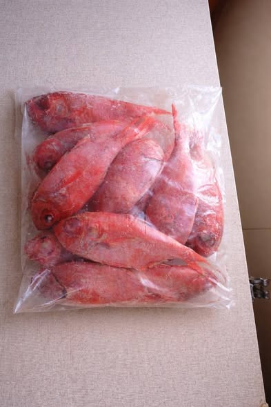 Fish photo 1