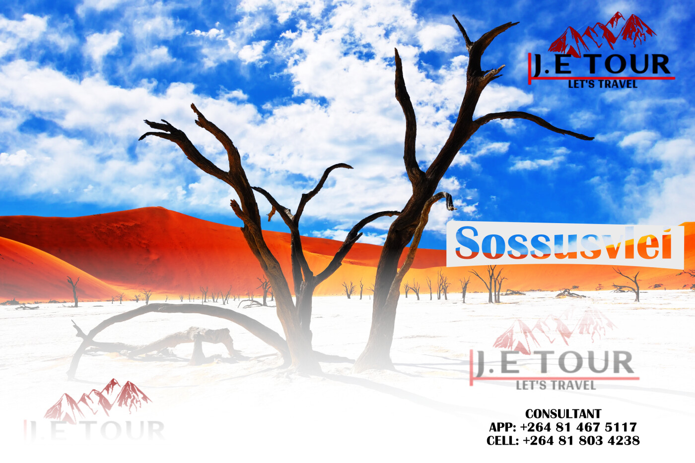 Private guided safari/tours in Namibia photo 5