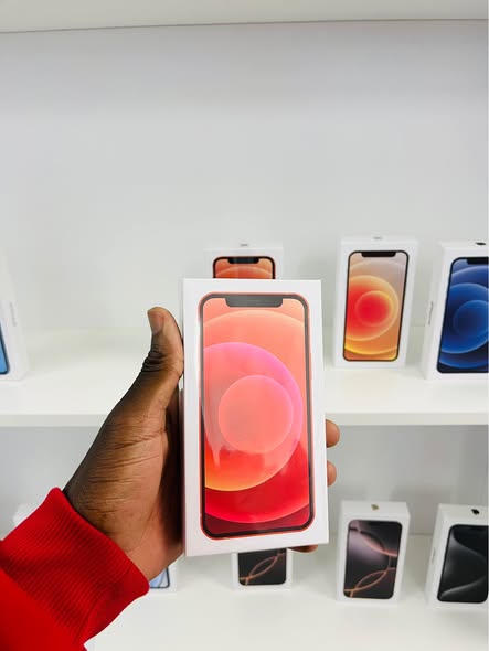 iPhone 12 photo 2