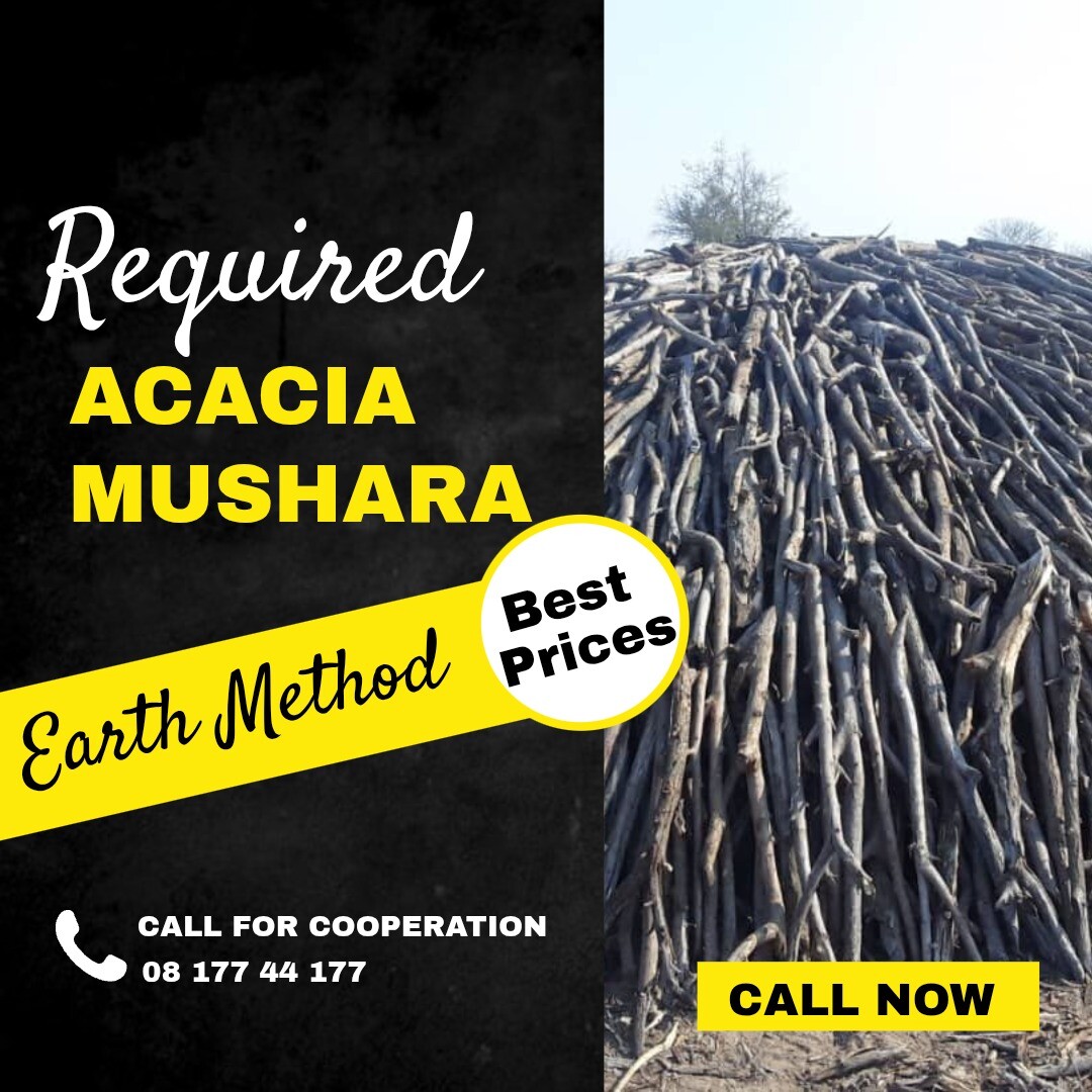 Earth charcoal required photo 1
