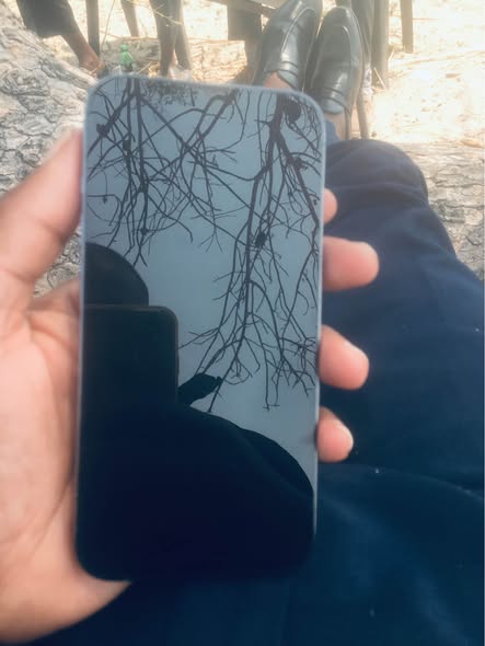 iPhone 13 Pro photo 1