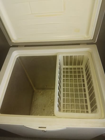 Freezers photo 4