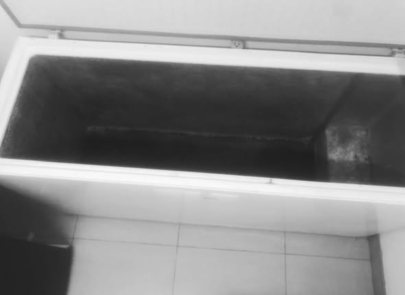 Freezers photo 2