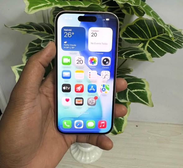 iPhone 15 photo 4