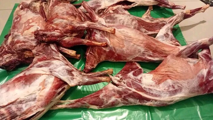 Goat meat for sale photo 1