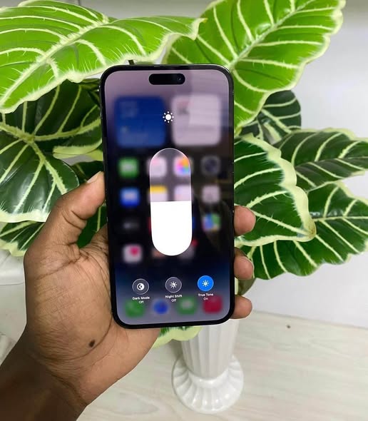 iPhone 14 Pro Max photo 2