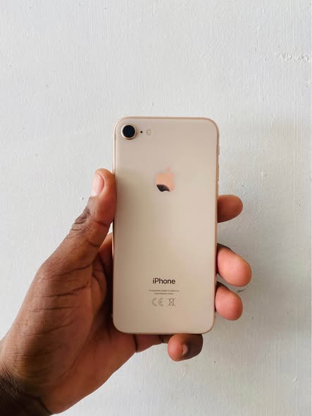 iPhone 8 photo 4