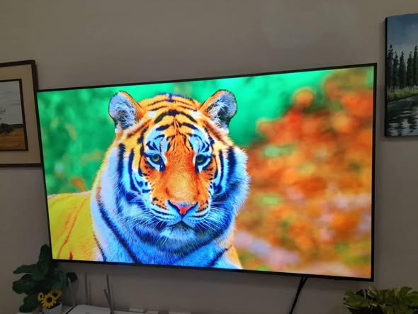 Samsung Smart TV photo 2