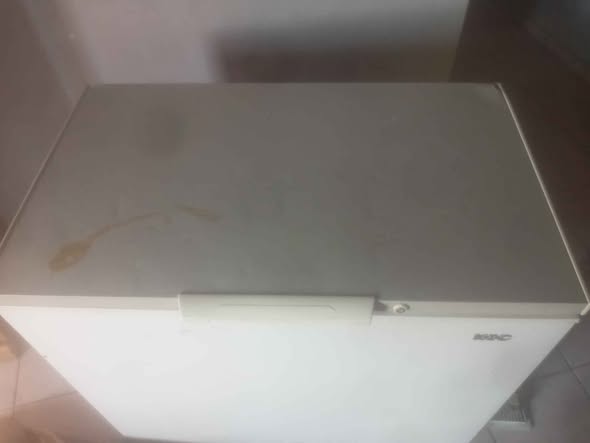 KIC 300l deep freezer photo 2