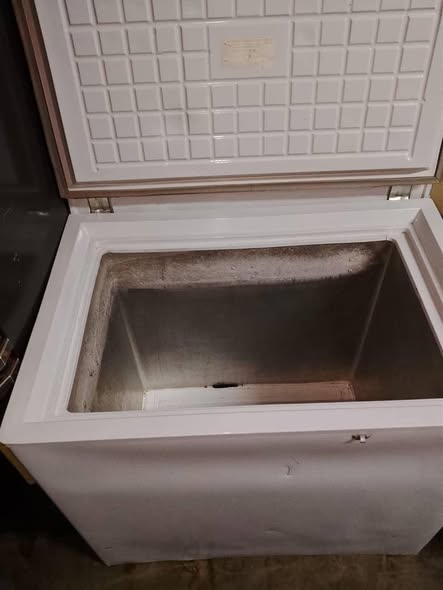 Gas and electric deep freezer photo 2