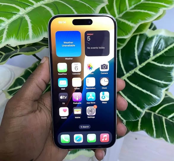 iPhone 15 photo 2