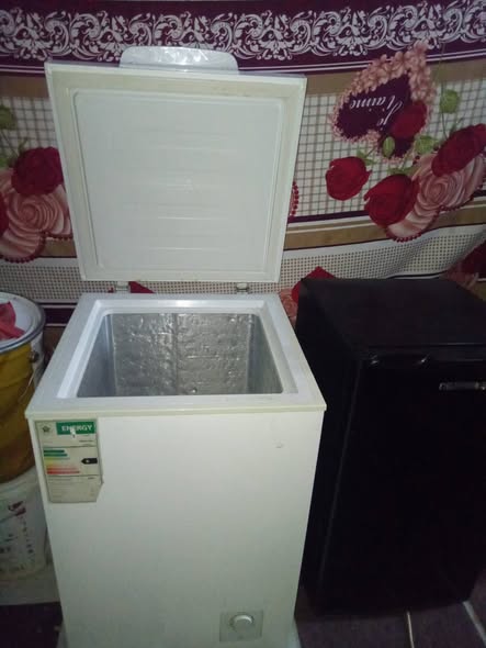 100 deep freezer photo 1