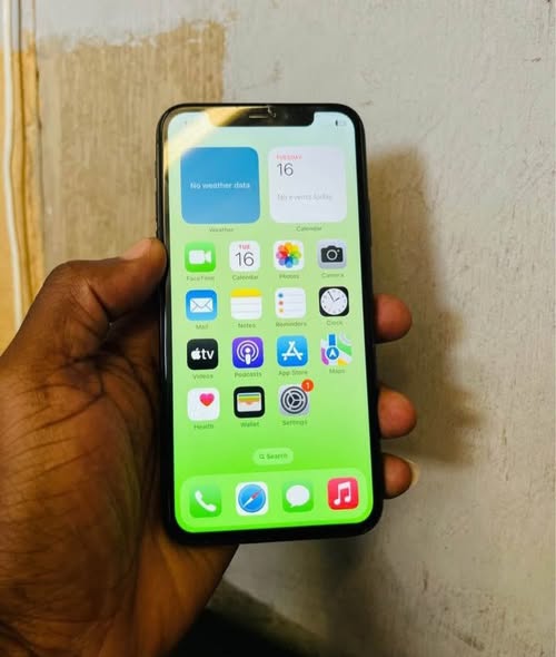 IPhone x photo 2