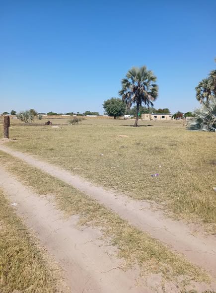 Plot for sale Omatando ongwediva photo 2