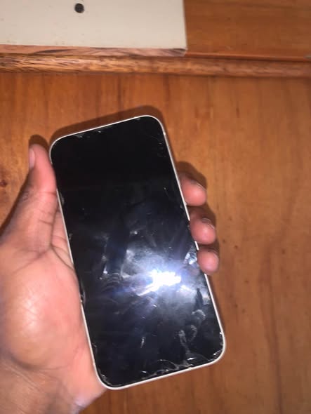 iPhone 13 photo 5