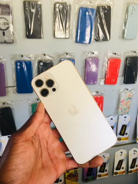 iPhone 12 Pro Max photo 3