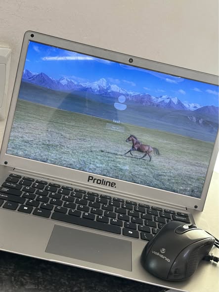 Laptop Proline photo 1