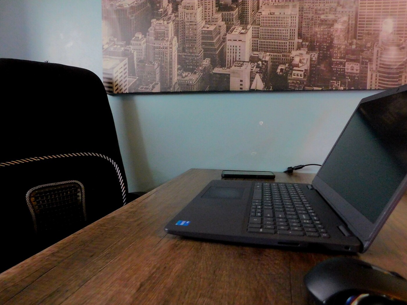 Dell Vostro 3500 photo 5