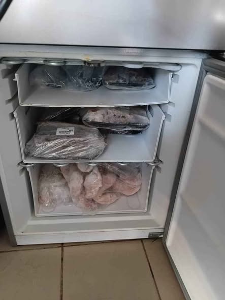 KIC fridge photo 2