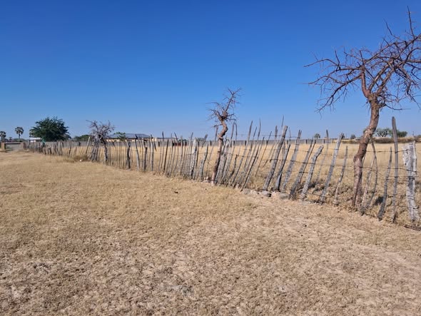 2500 Square Meters Plot photo 3