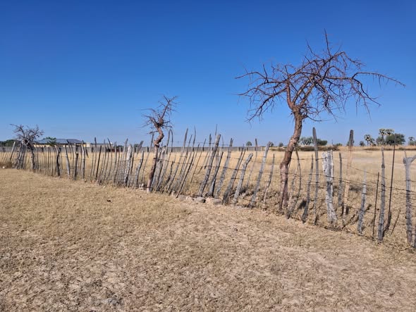 2500 Square Meters Plot photo 1