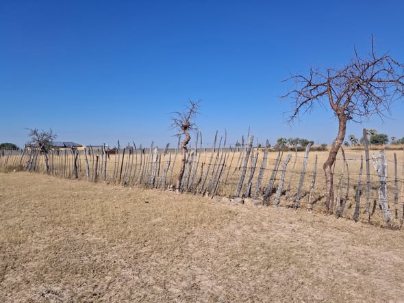 2500 Square Meters Plot photo 4