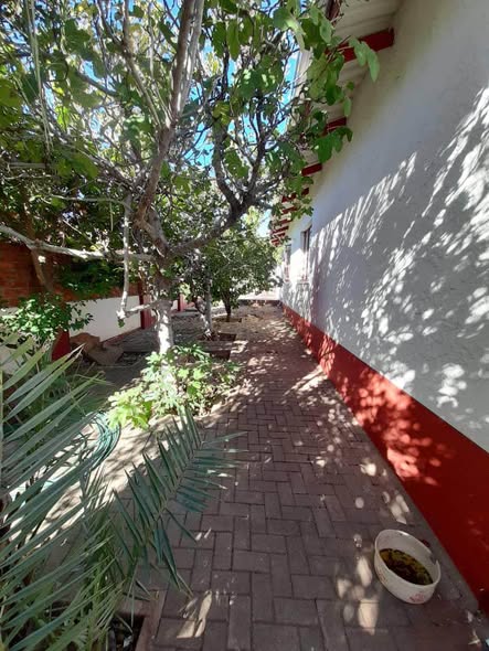 Freestanding house for sale photo 3