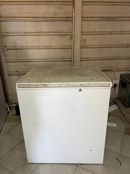 Freezer photo 1