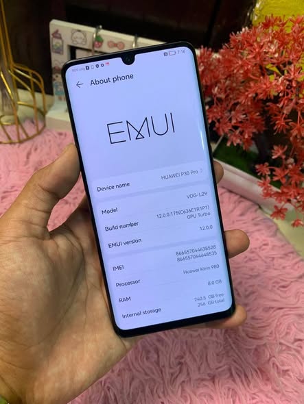 Huawei p 30 pro photo 3