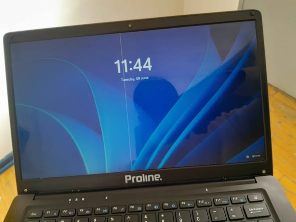 Proline photo 5