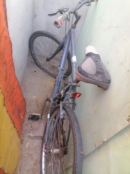 Mountain bycicle photo 1