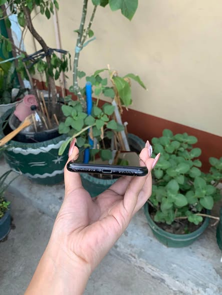iPhone XR, 64GB photo 3