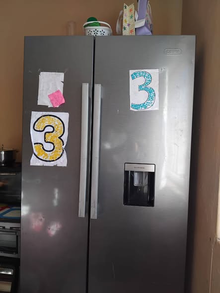 Fridge photo 2