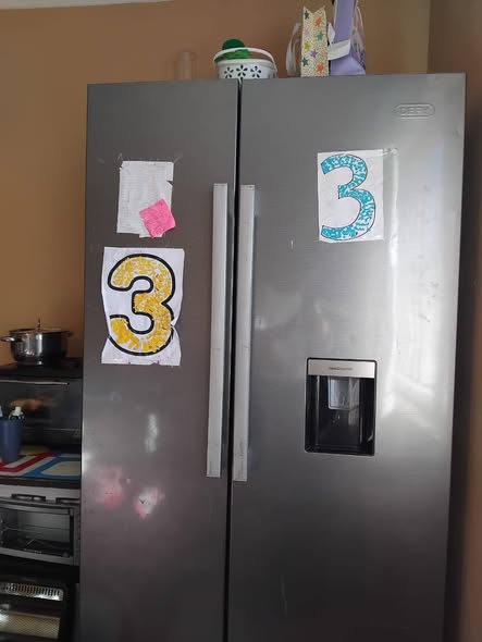 Fridge photo 1