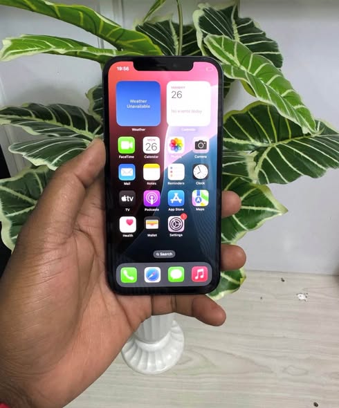 iPhone 12 photo 2