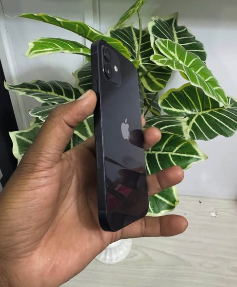 iPhone 12 photo 5