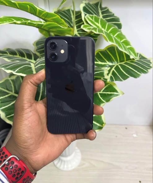 iPhone 12 photo 3