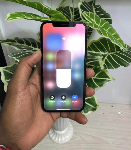 iPhone 12 photo 1