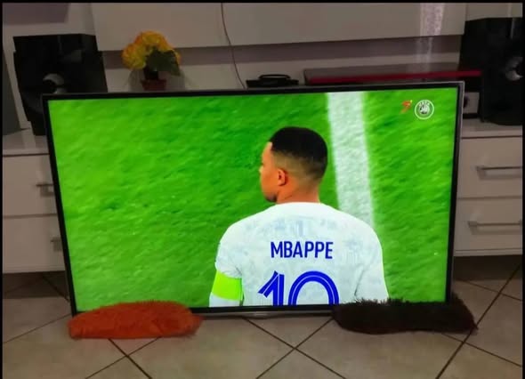 Hisense 55 inch tv photo 1