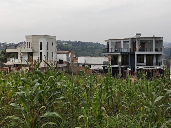 Plot for sale kimironko Zindiro photo 4