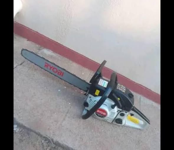 Ryobi chainsaw photo 1
