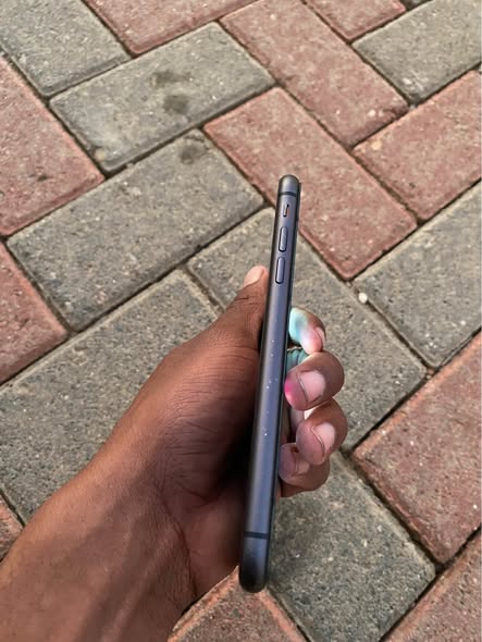 iPhone 11 photo 5