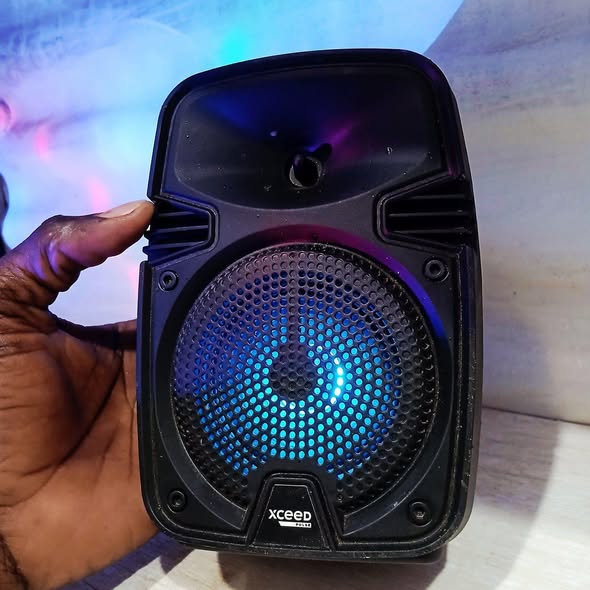 Mini Disco Speaker Box photo 1