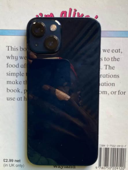 iPhone 13 photo 4