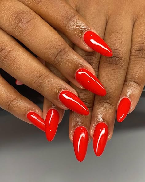 Nails photo 4
