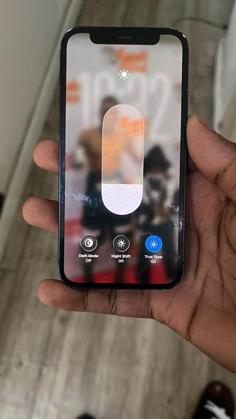 iPhone 12 Mini photo 1