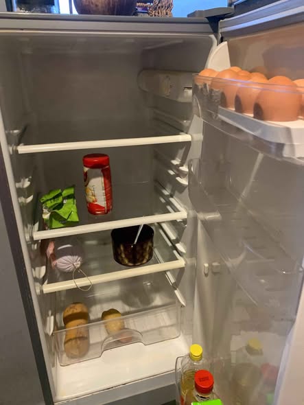 Fridge photo 2