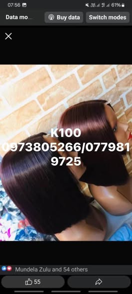 Wigs photo 1