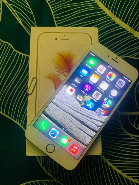 iPhone 6s plus photo 4