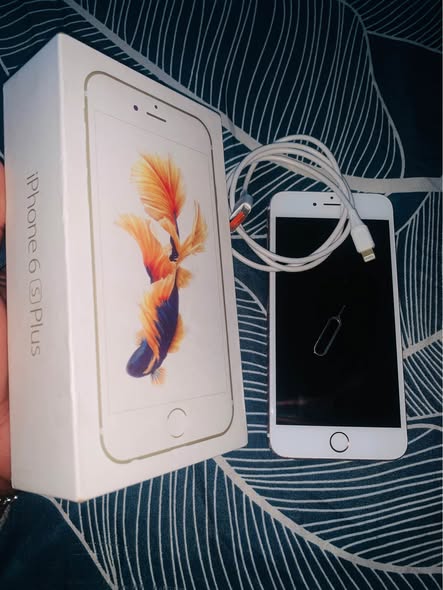 iPhone 6s plus photo 1